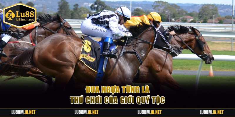 Đua ngựa từng là thú chơi của giới quý tộc